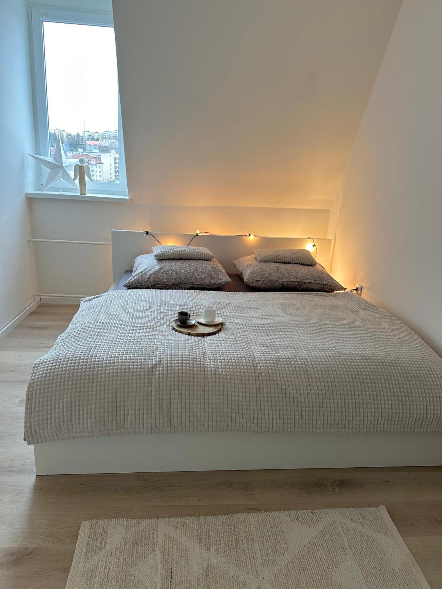 Damjan Apartment Karlovy Vary